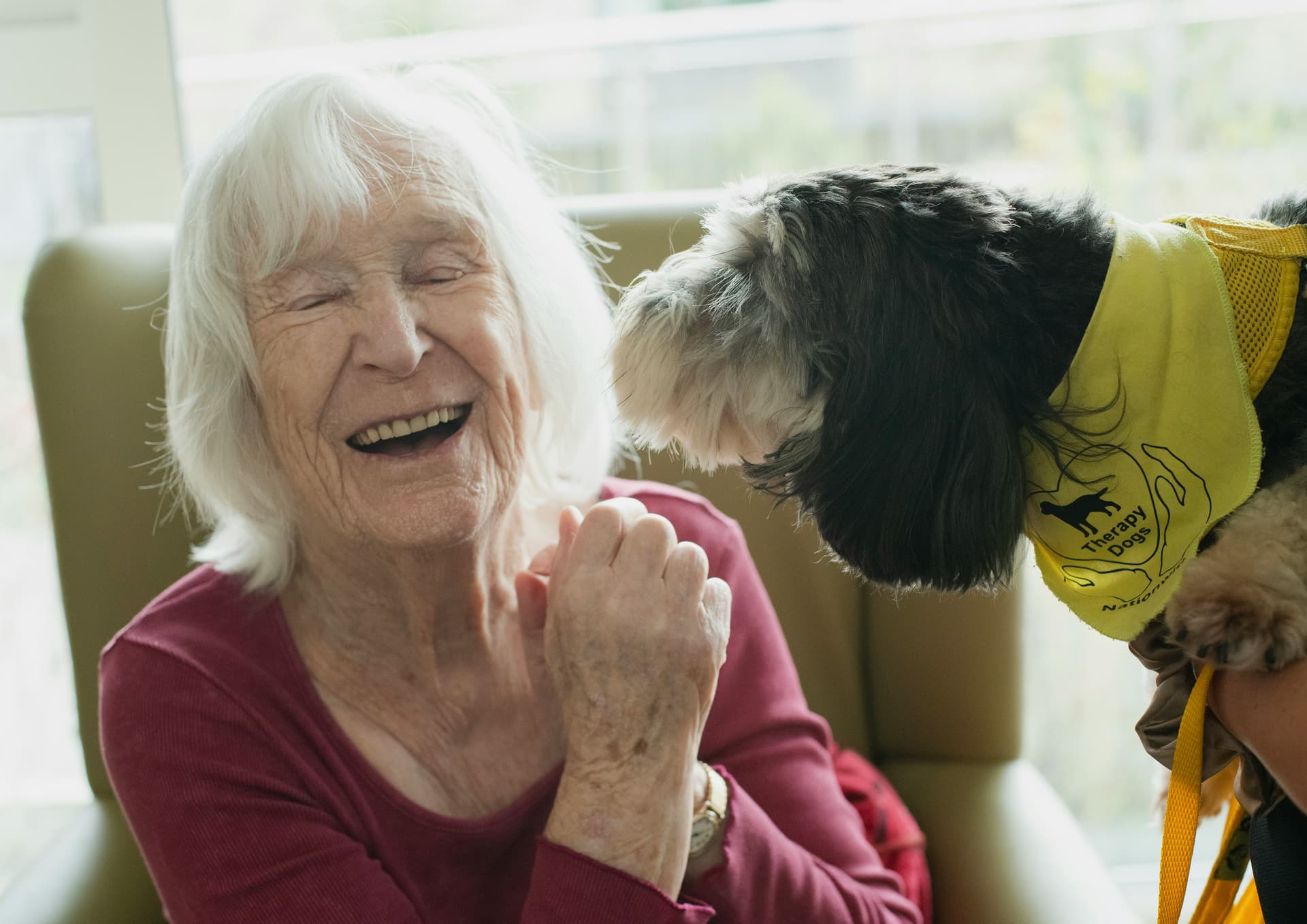 Chien de médiation animale auprès d'une personne âgée