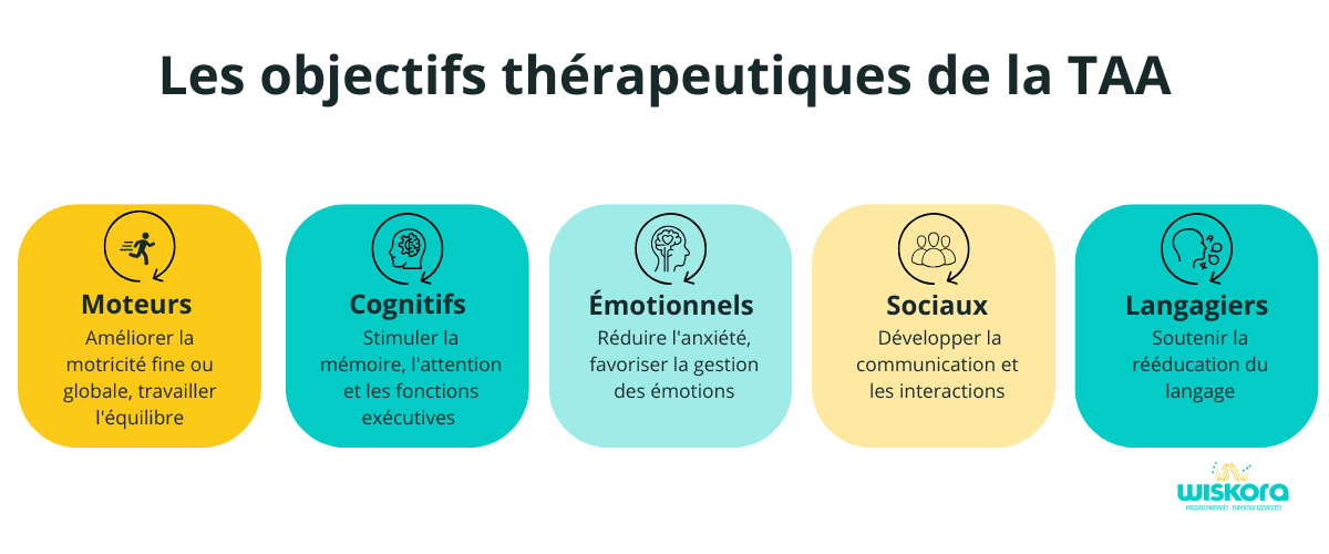 Les 5 objectifs thérapeutiques de la TAA — Wiskora Objectifs thérapeutiques TAA zoothérapie moteurs cognitifs émotionnels sociaux langagiers